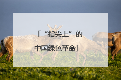 “指尖上”的中国绿色革命